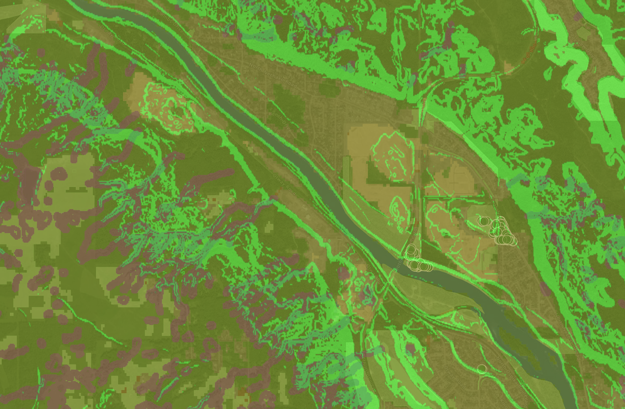 Multispectral satellite analysis revealing vegetation and water signals